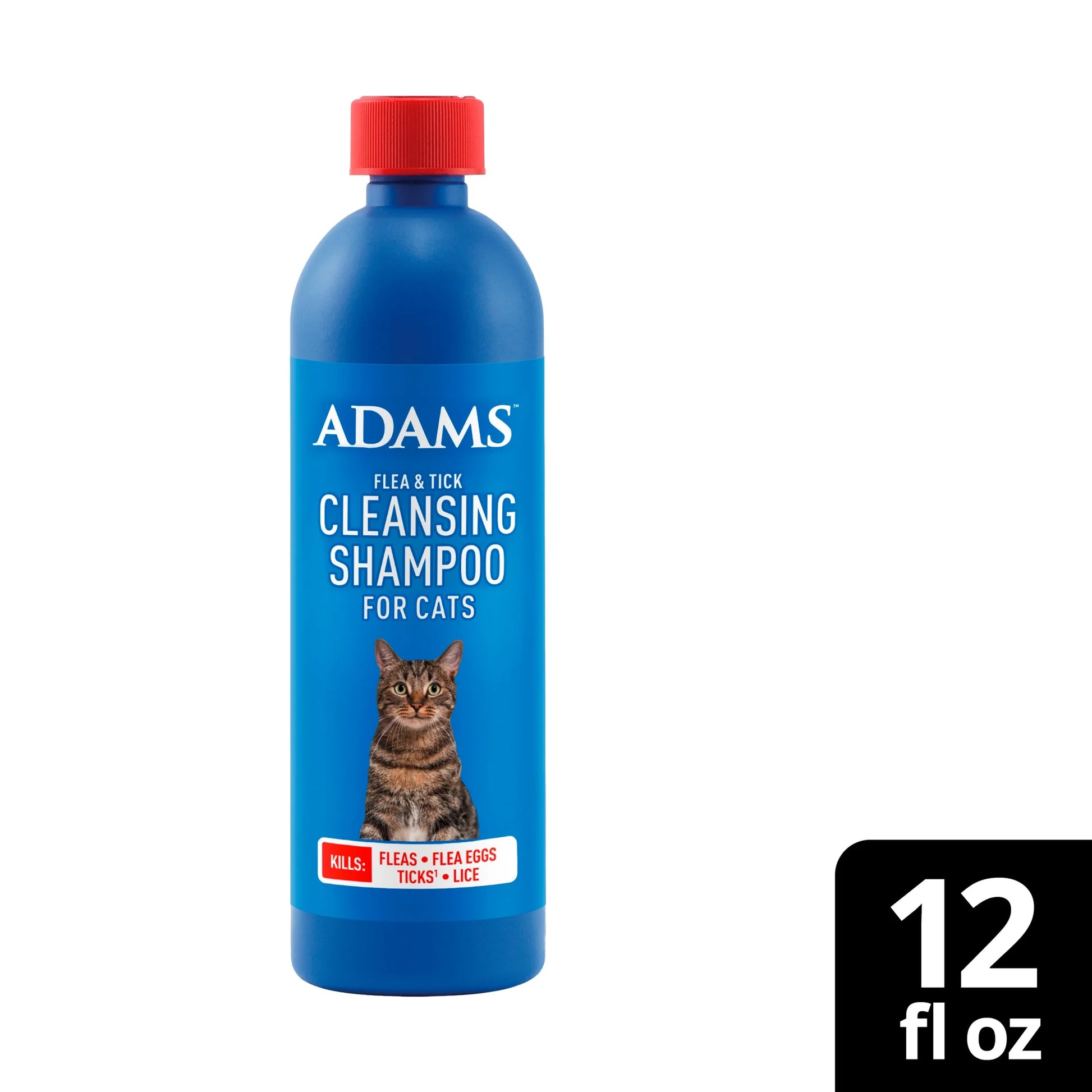 Flea & Tick Cleansing Shampoo for Cats & Kittens, Flea Shampoo to Treat Flea Infestations, Kills Ticks, Fleas, Flea Eggs & Lice, Cleans and Conditions Coat, 12 Fl Oz