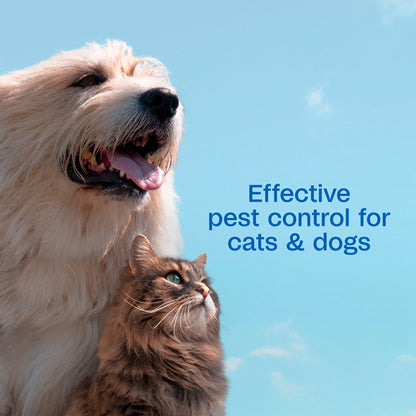 Flea & Tick Dog and Cat Spray, Kills Fleas and Ticks, Prevents Flea Infestations for up to 2 Months, Flea Treatment for Dogs, Cats, Puppies & Kittens, 16 Fl Oz